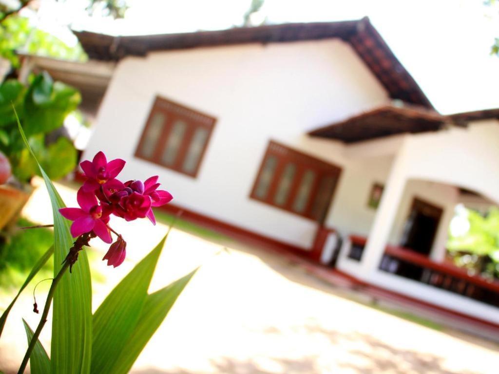 Celine'S Home Mirissa Exterior photo