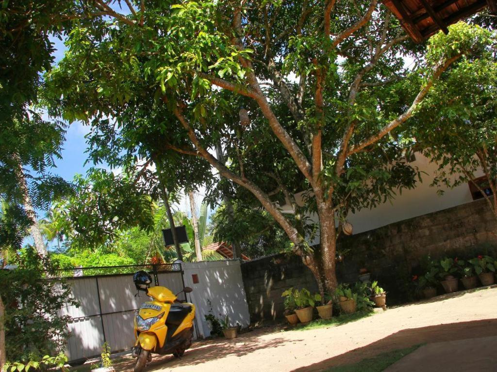 Celine'S Home Mirissa Exterior photo